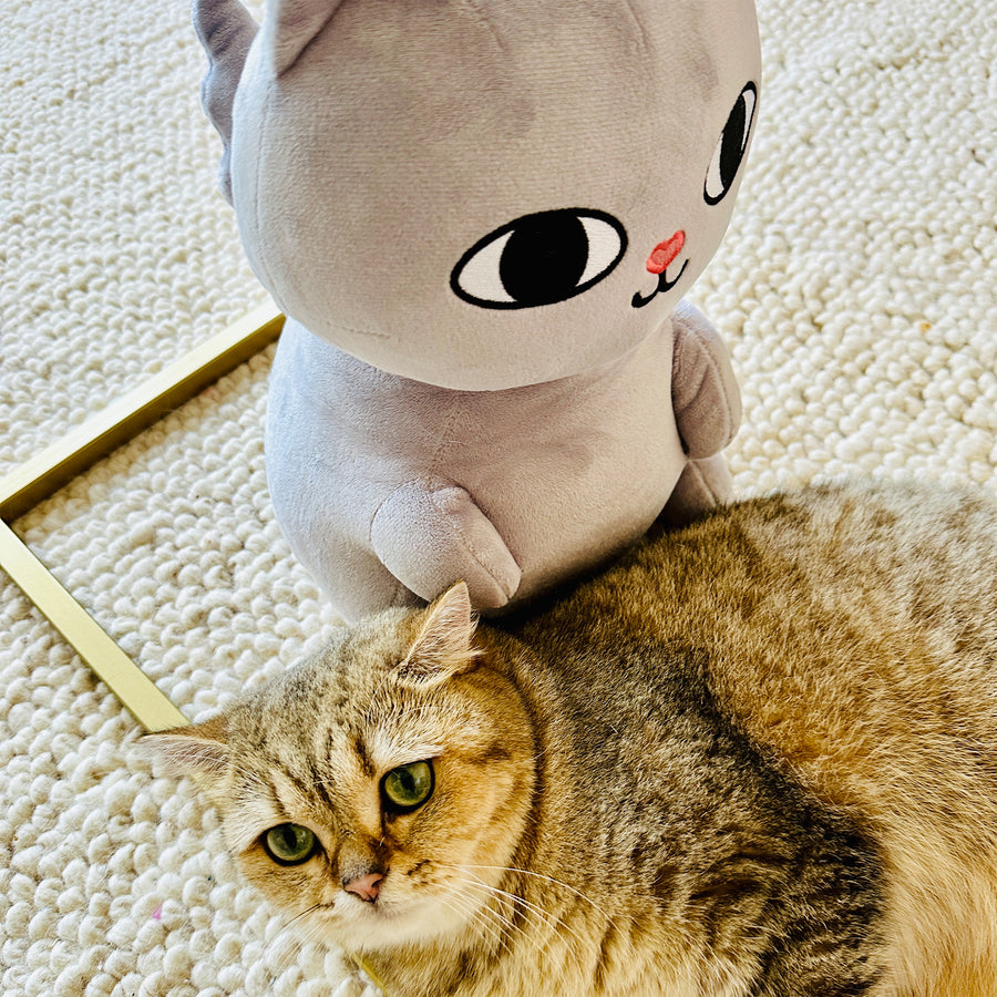 Catto Plushie